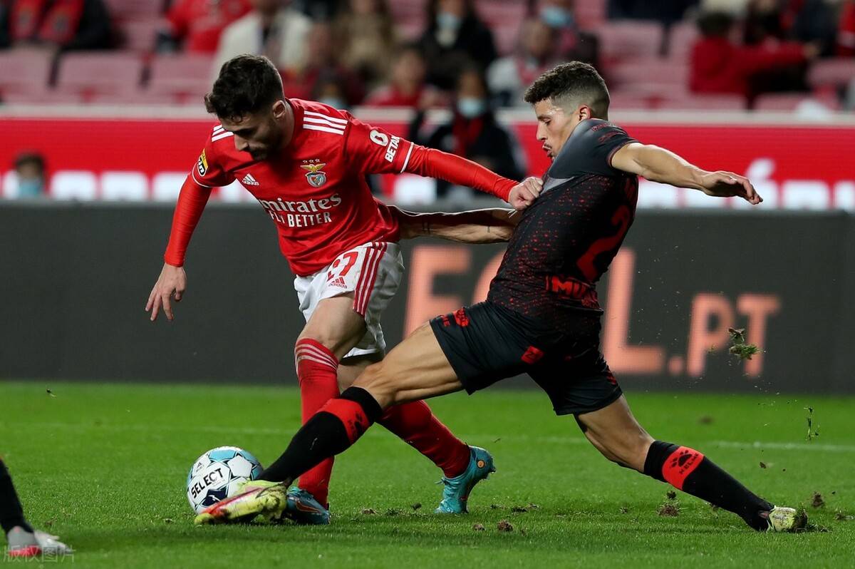 手机游戏排行榜-冲刺阶段本菲卡调整名单以备欧超杯，伤情更新环节打磨，压力陡增，身体对抗强度拉满的简单介绍